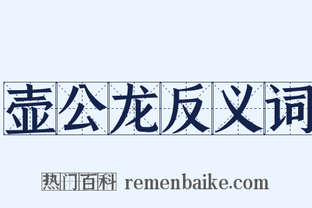 壶公龙反义词是什么意思的图片